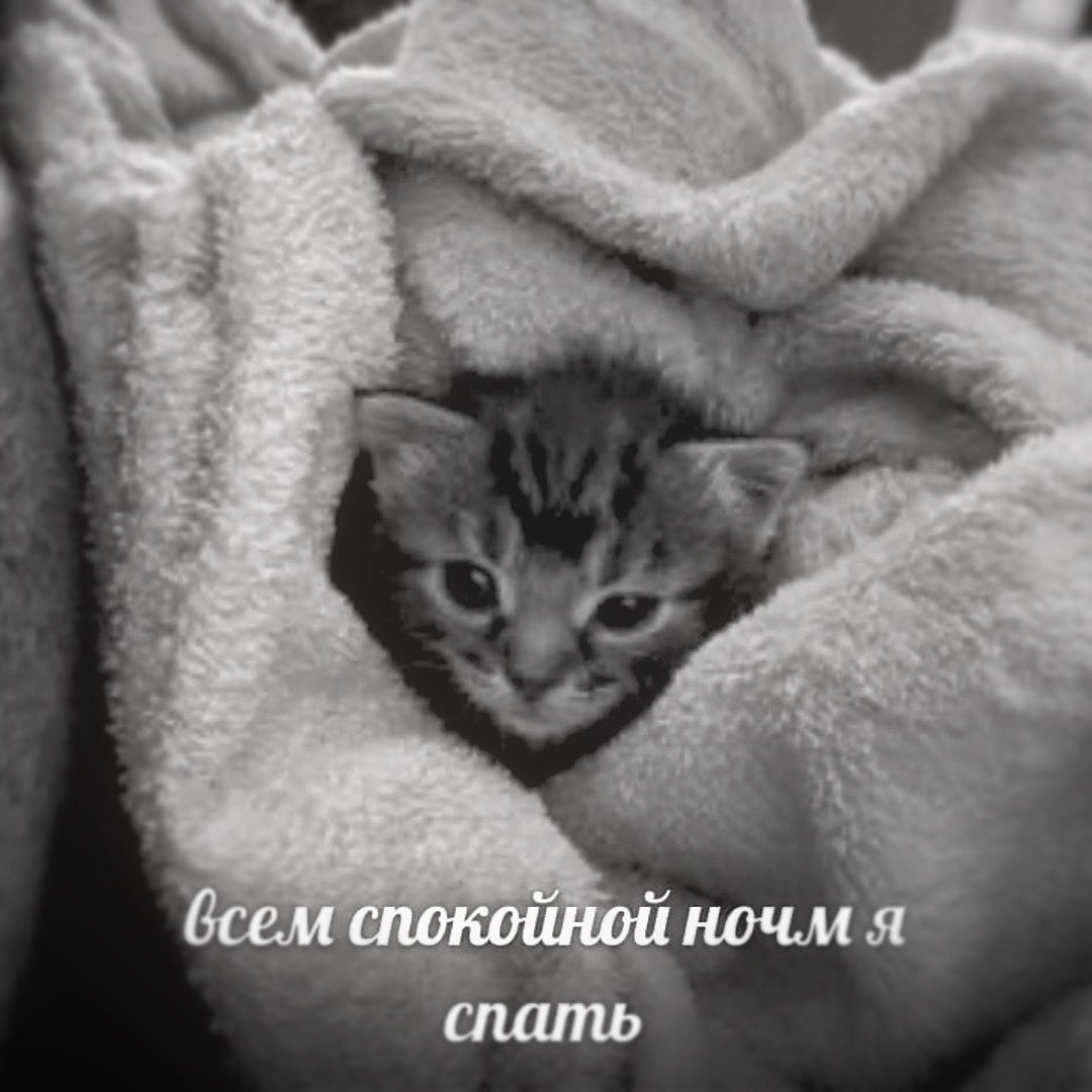 ks𖦹mi tweet media