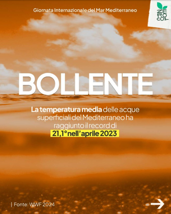 ZeroCo2's tweet photo. 🌊 Il Mar Mediterraneo sta soffrendo gli effetti estremi, rapidi e concreti del cambiamento climatico: è un mare sempre più tropicale, plastificato e sovrasfruttato.

⛵ Insieme, possiamo invertire la rotta e ridare ossigeno agli ecosistemi marini. https://t.co/rDWMoN9wQN