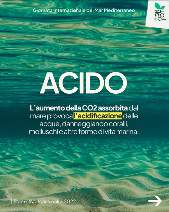 ZeroCo2's tweet photo. 🌊 Il Mar Mediterraneo sta soffrendo gli effetti estremi, rapidi e concreti del cambiamento climatico: è un mare sempre più tropicale, plastificato e sovrasfruttato.

⛵ Insieme, possiamo invertire la rotta e ridare ossigeno agli ecosistemi marini. https://t.co/rDWMoN9wQN