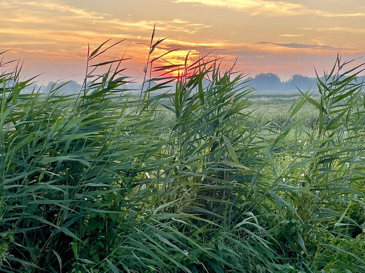 Thurne View tweet media