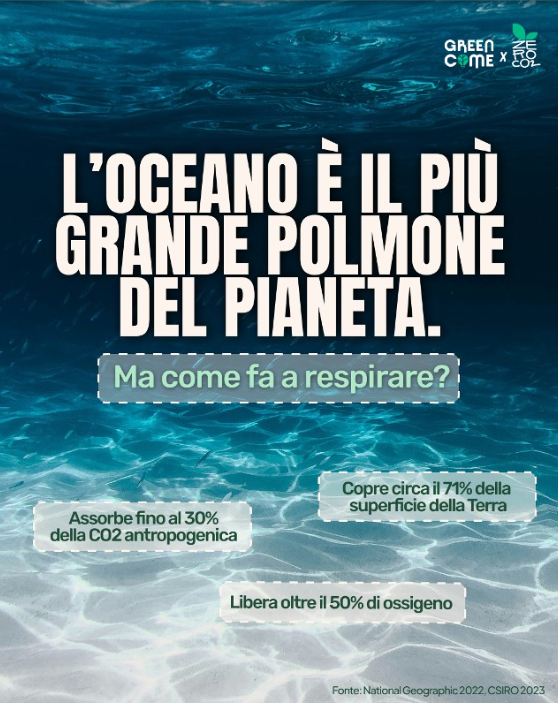 ZeroCo2's tweet photo. 🌊 Gli oceani assorbono il 30% delle emissioni di CO2 umane e contengono 60 volte più carbonio dell'atmosfera. 🌡️ Tuttavia, l'acidificazione e il riscaldamento minacciano gli ecosistemi marini e la capacità di assorbire CO2. Agiamo ora per salvare i nostri oceani! 🌍💚 https://t.co/FynU5sOMwx
