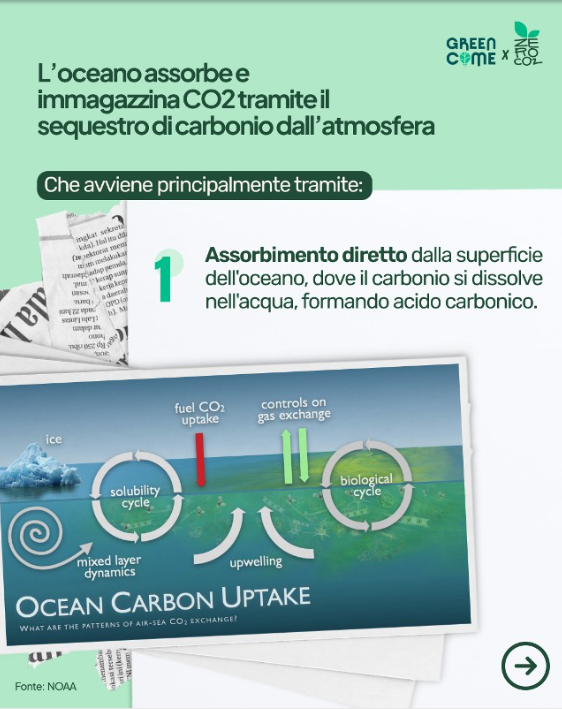 ZeroCo2's tweet photo. 🌊 Gli oceani assorbono il 30% delle emissioni di CO2 umane e contengono 60 volte più carbonio dell'atmosfera. 🌡️ Tuttavia, l'acidificazione e il riscaldamento minacciano gli ecosistemi marini e la capacità di assorbire CO2. Agiamo ora per salvare i nostri oceani! 🌍💚 https://t.co/FynU5sOMwx