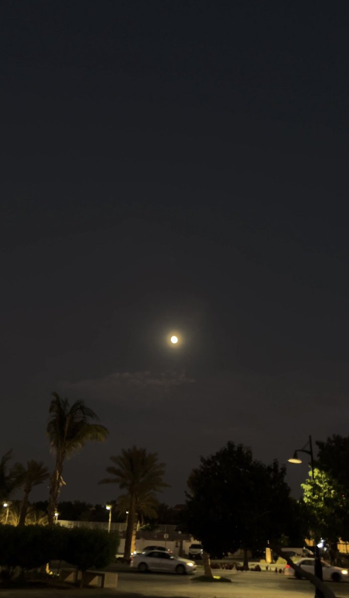 rofaida44442's tweet photo. تمر الأيام والليالي
ولا يلتقي أحد منّا بالآخر
ولكني أتصبر بأشياء كثيرة
أقلّها 
أن القمر الذي أرفع رأسي لأراه، تراه أنت أيضًا من مكان ما
فيمكننا أن نجتمع الآن في السماء
وغدًا علي الأرض
لن ننشغل وقتها بالسماء، فيكون قمر كل منّا بجواره
 وإلي الأبد. https://t.co/8eVvnomFhx