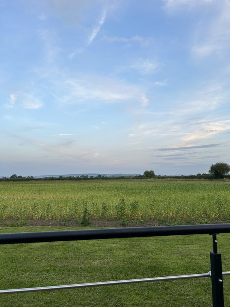 Back in Yorkshire for the weekend. Yellowhammer everywhere, Barn owl scanning the field edges. What sounds like thousands of geese somewhere in the distance. Not bad at all!