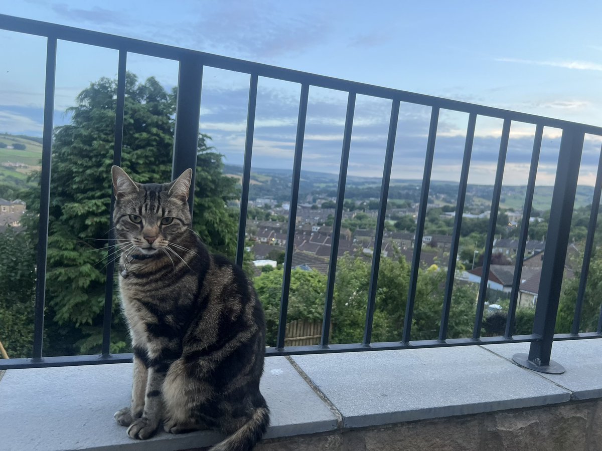 It’s a beautiful evening in West Yorkshire. Headphones in, beer in hand, listening to the last ever <a href="/IAmTheEggPod/">EggPod 🍏</a> 😢 I’m not sure what I’ll do without it