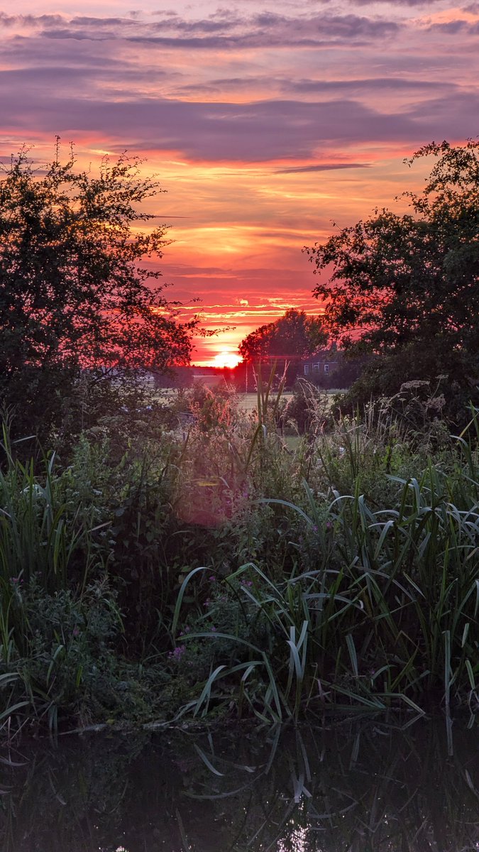 HawthornHideaw1's tweet photo. A close up of tonight's beautiful sunset...no filter needed ๐ฅ๐ฅ
Who would you want to cuddle up with to watch this gorgeous view?
#SunsetViews #mothernaturerocks #northnotts #southyorkshire #romanticmoments https://t.co/ACgl6w2hGv