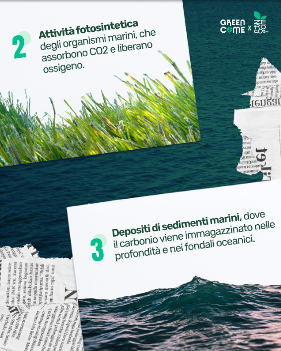 ZeroCo2's tweet photo. 🌊 Gli oceani assorbono il 30% delle emissioni di CO2 umane e contengono 60 volte più carbonio dell'atmosfera. 🌡️ Tuttavia, l'acidificazione e il riscaldamento minacciano gli ecosistemi marini e la capacità di assorbire CO2. Agiamo ora per salvare i nostri oceani! 🌍💚 https://t.co/FynU5sOMwx