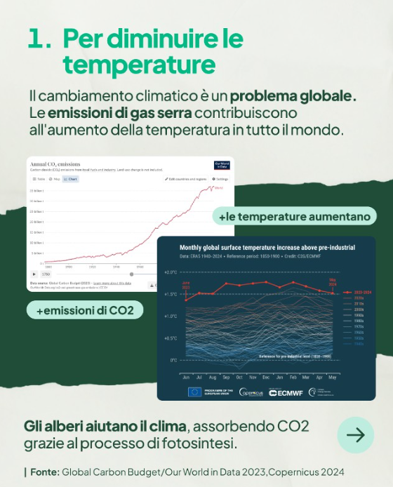 ZeroCo2's tweet photo. La riforestazione globale è vitale 🌍: le foreste assorbono 7,6 miliardi di tonnellate di CO2 all'anno. Africa e America Latina, colpite duramente dalla deforestazione, necessitano di riforestazione 🌳 per ripristinare ecosistemi e sostenere le comunità locali 🤝. https://t.co/B6dpYgV5E2
