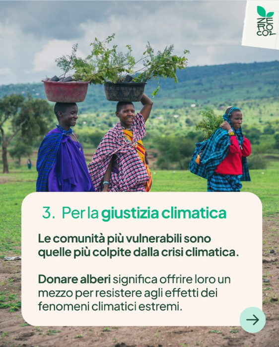ZeroCo2's tweet photo. La riforestazione globale è vitale 🌍: le foreste assorbono 7,6 miliardi di tonnellate di CO2 all'anno. Africa e America Latina, colpite duramente dalla deforestazione, necessitano di riforestazione 🌳 per ripristinare ecosistemi e sostenere le comunità locali 🤝. https://t.co/B6dpYgV5E2