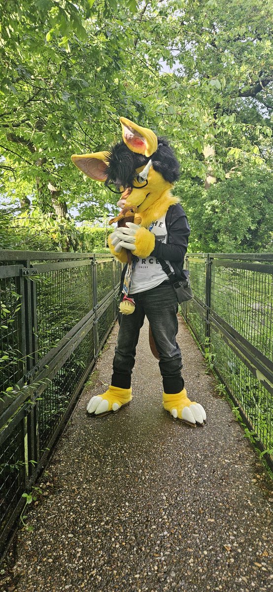 Haven't done one of these in a while! Happy #FursuitFriday, from back when I was at CFz earlier this year!💛

📷: @/Maxtheboii