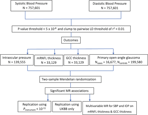 Janey Wiggs et al. <a href="/MassEyeAndEar/">Mass Eye and Ear</a> report Independent Effects of Blood Pressure on Intraocular Pressure and Retinal Ganglion Cell Degeneration: A Mendelian Randomization Study, iovs.arvojournals.org/article.aspx?a….