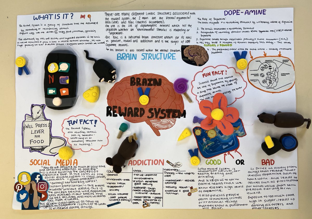 Dev Neuro Academy @ King’s College London tweet media