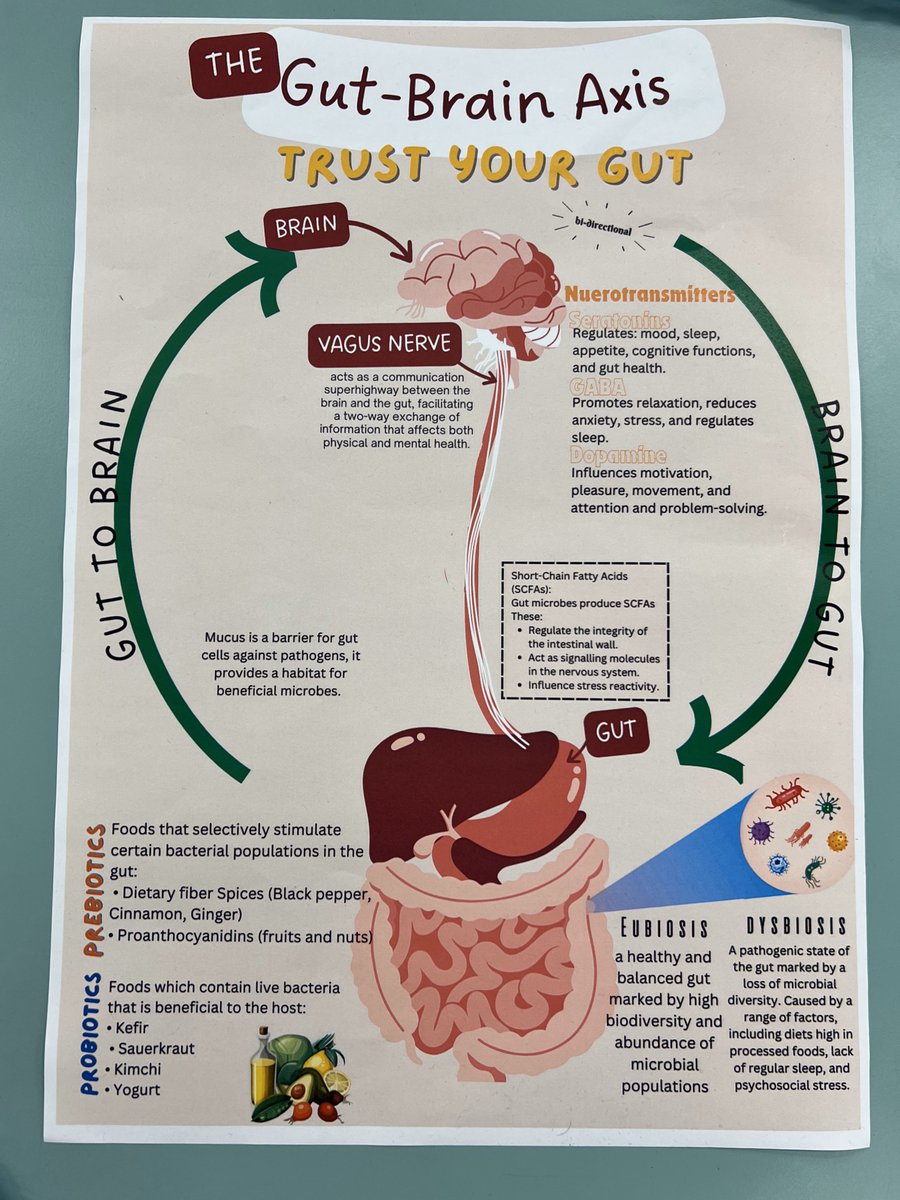 Dev Neuro Academy @ King’s College London tweet media