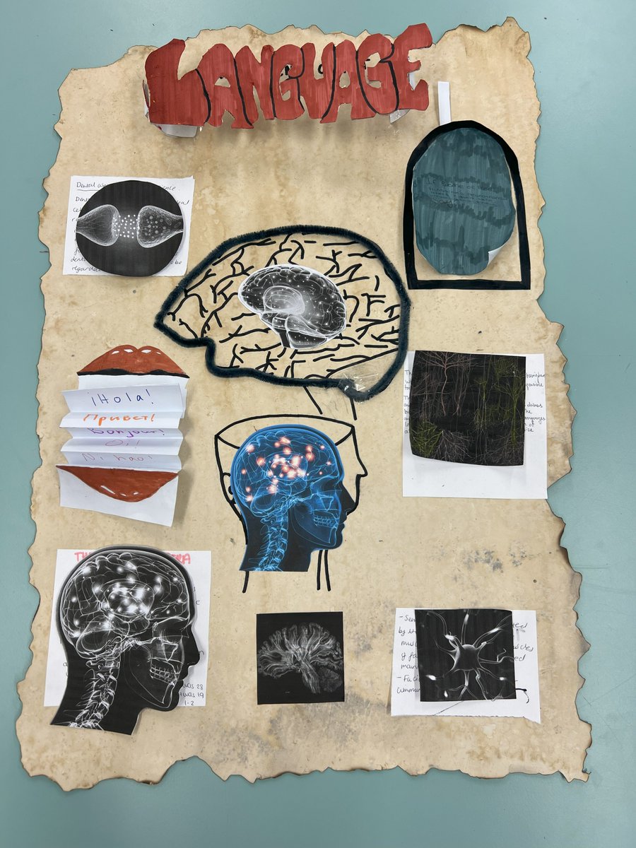 Dev Neuro Academy @ King’s College London tweet media