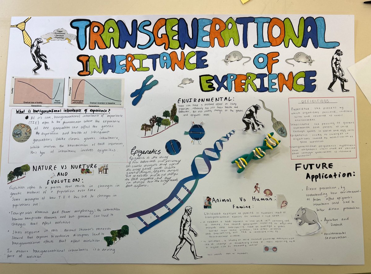 Dev Neuro Academy @ King’s College London tweet media