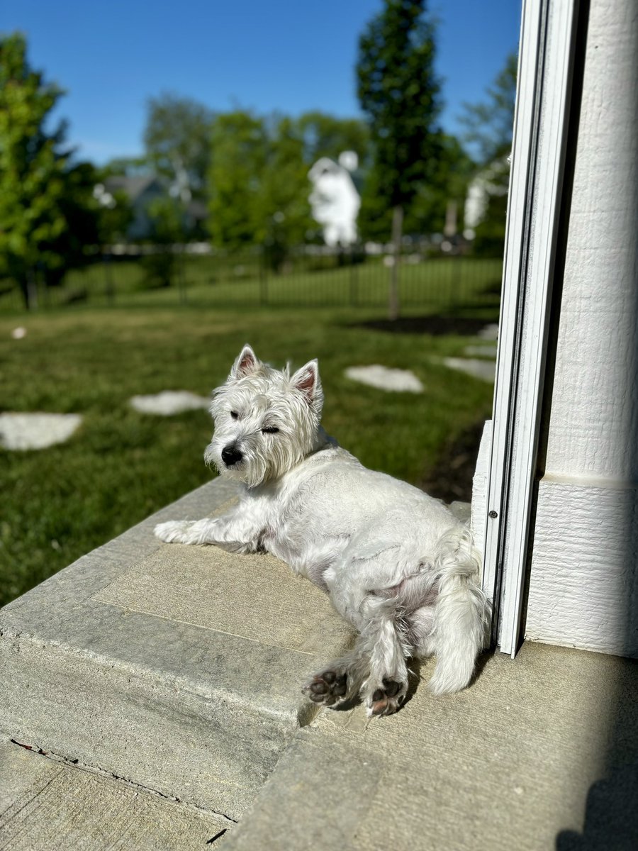 Ray Lucas 🤝 🎧 tweet media