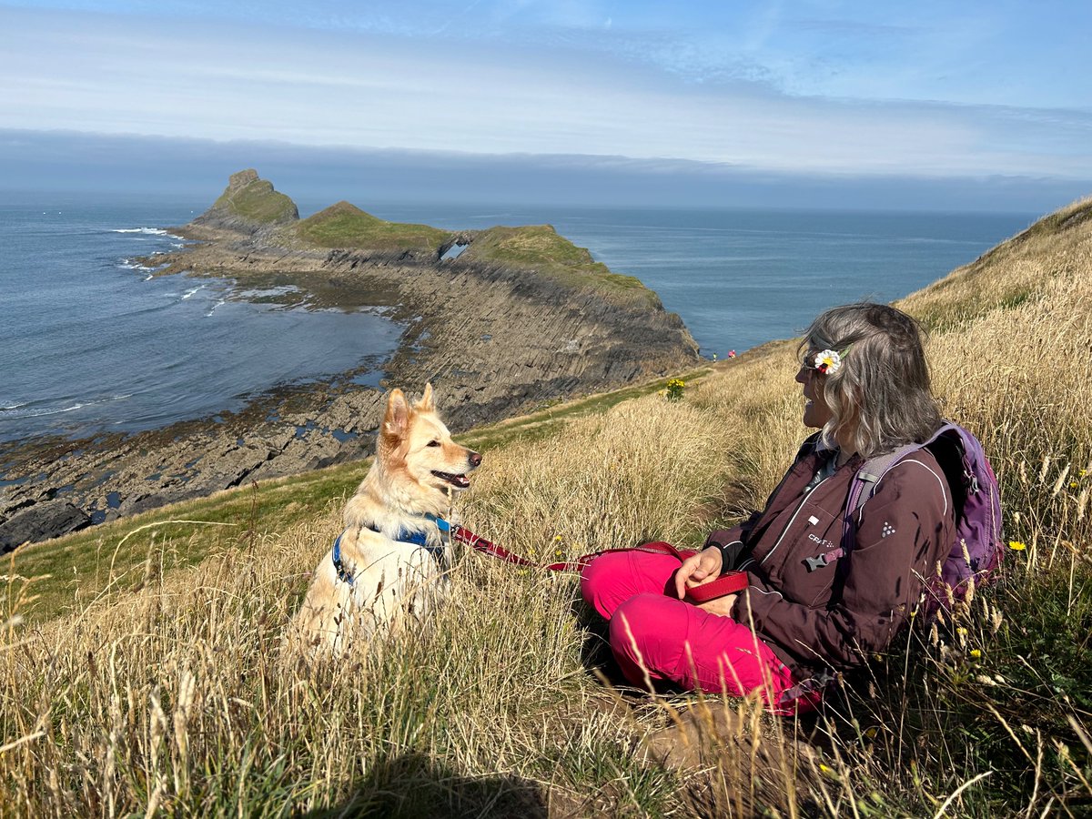 boatypat's tweet photo. Once again #WormsHead called and we answered.. #gsd #dogs https://t.co/F9HnKzj6QB