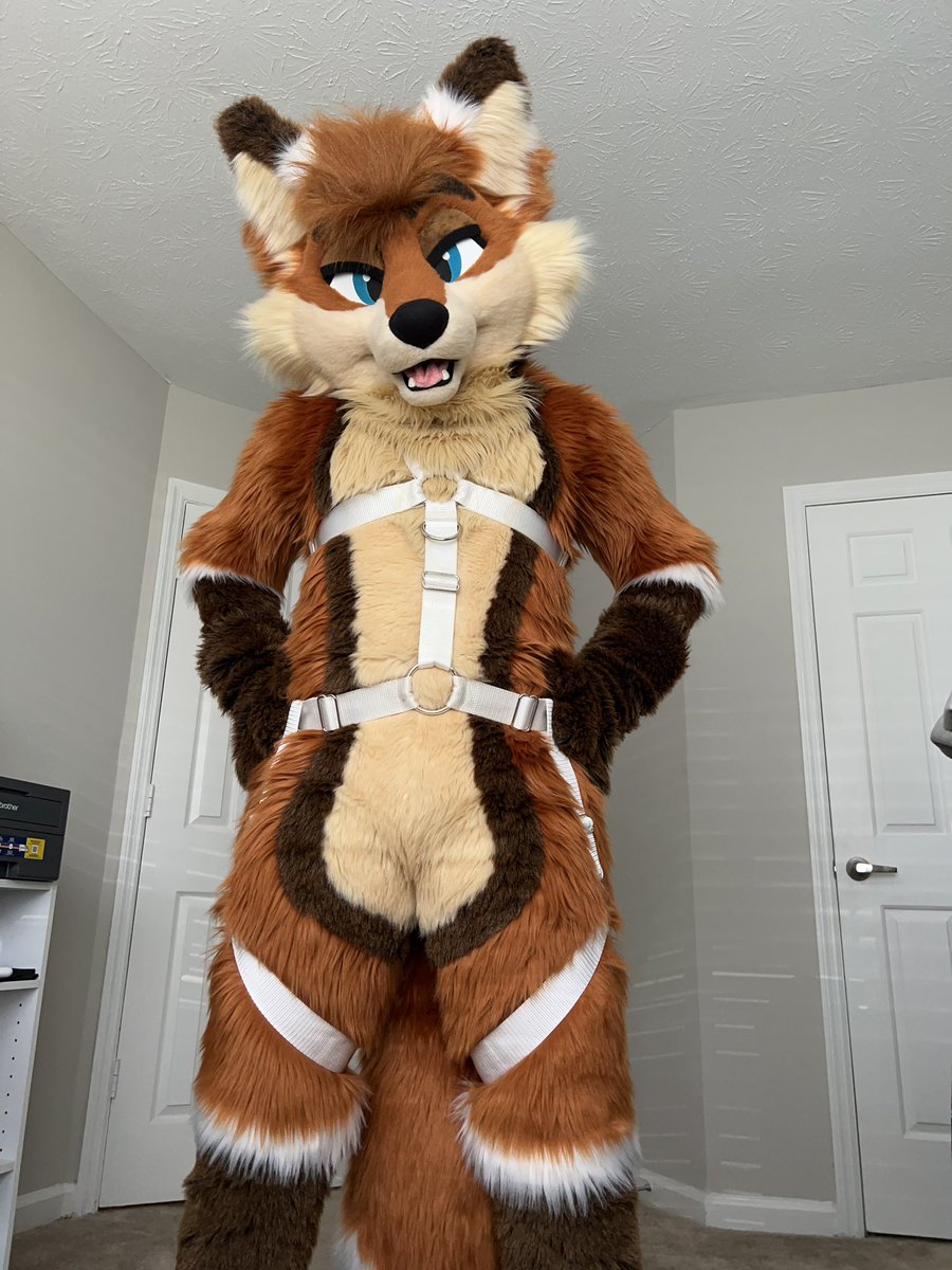 smolfoxArthur's tweet photo. Harness hours⛓️😈🦊✨

#FursuitFriday https://t.co/RTKD05rLsW