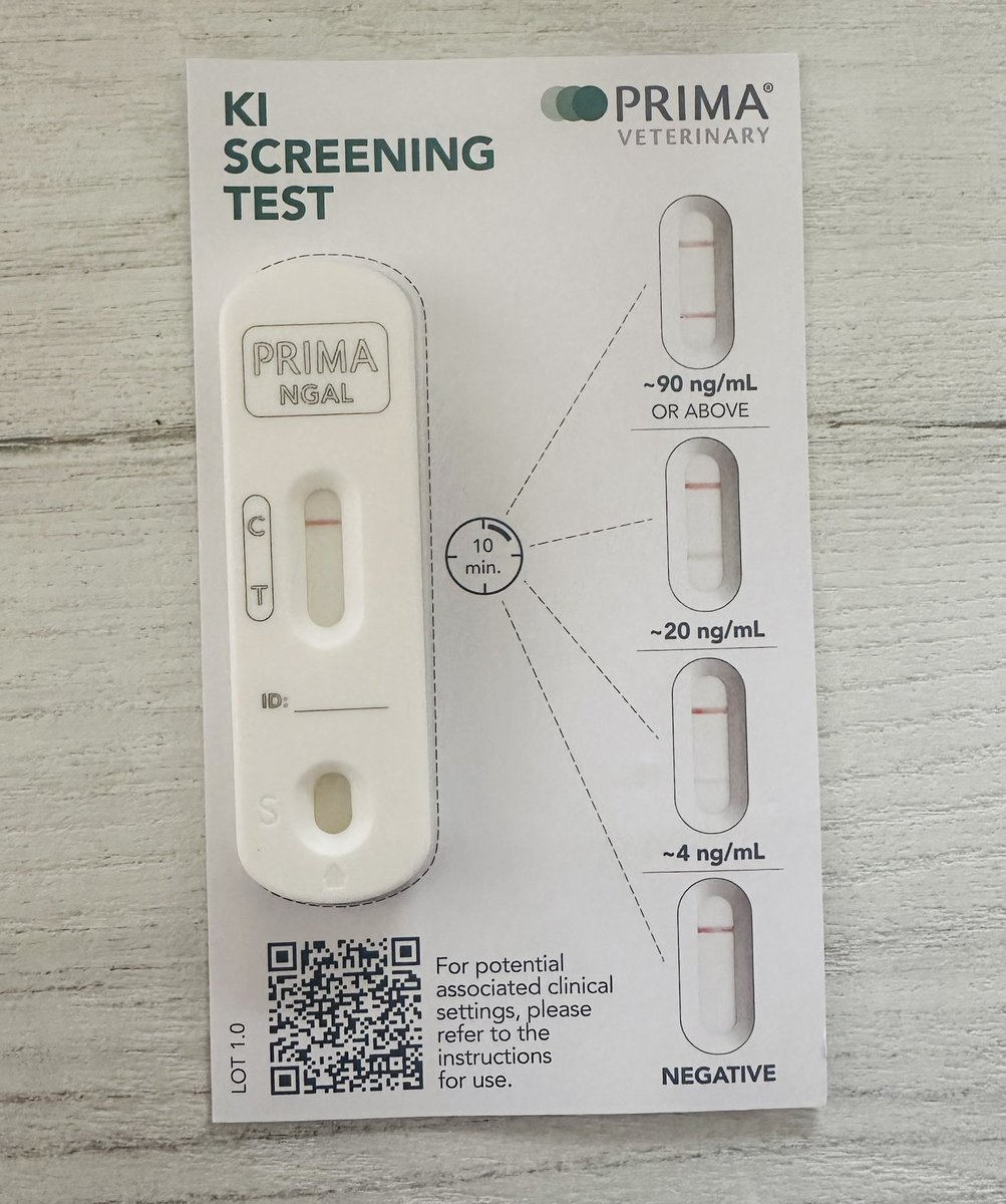 DrCesarMayorga's tweet photo. Brownie ate 250 mg/kg of Ibuprofen and presented too late for extracorporeal blood purification. Conservative management and monitoring showed improvement of azotemia but Urinary NGAL increasing in a 48 hours period. Interesting Test!!! #nefrovetcolombia https://t.co/rA1lmMWWLi