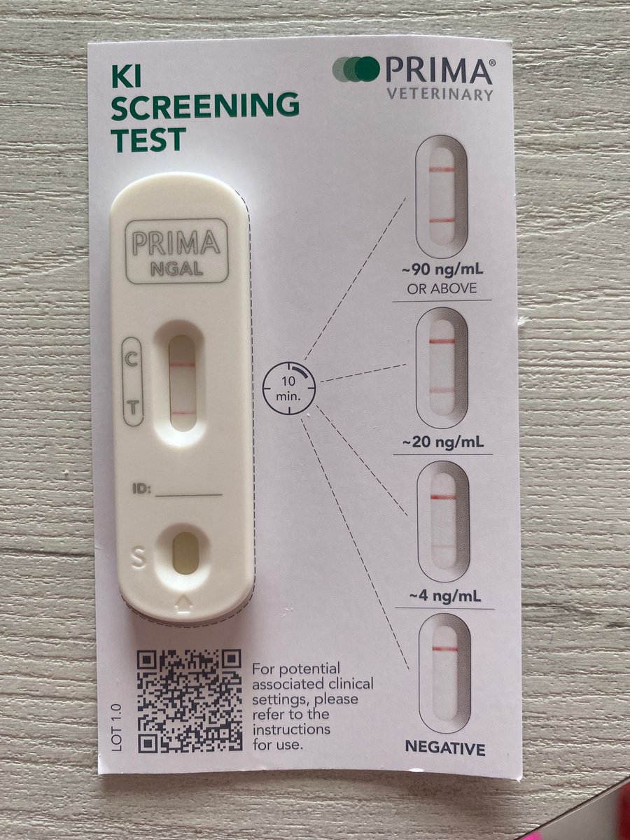 DrCesarMayorga's tweet photo. Brownie ate 250 mg/kg of Ibuprofen and presented too late for extracorporeal blood purification. Conservative management and monitoring showed improvement of azotemia but Urinary NGAL increasing in a 48 hours period. Interesting Test!!! #nefrovetcolombia https://t.co/rA1lmMWWLi