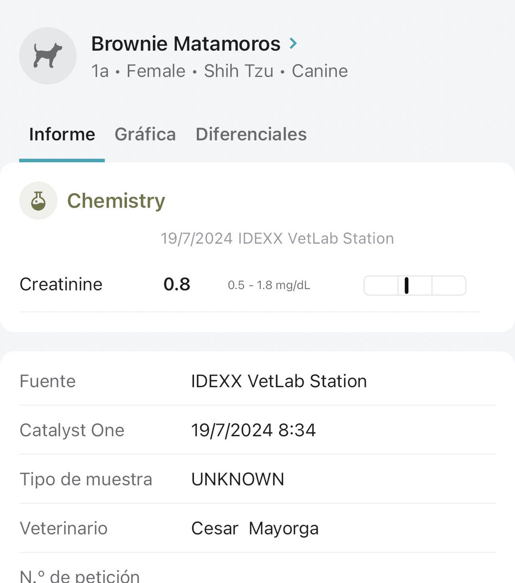 DrCesarMayorga's tweet photo. Brownie ate 250 mg/kg of Ibuprofen and presented too late for extracorporeal blood purification. Conservative management and monitoring showed improvement of azotemia but Urinary NGAL increasing in a 48 hours period. Interesting Test!!! #nefrovetcolombia https://t.co/rA1lmMWWLi