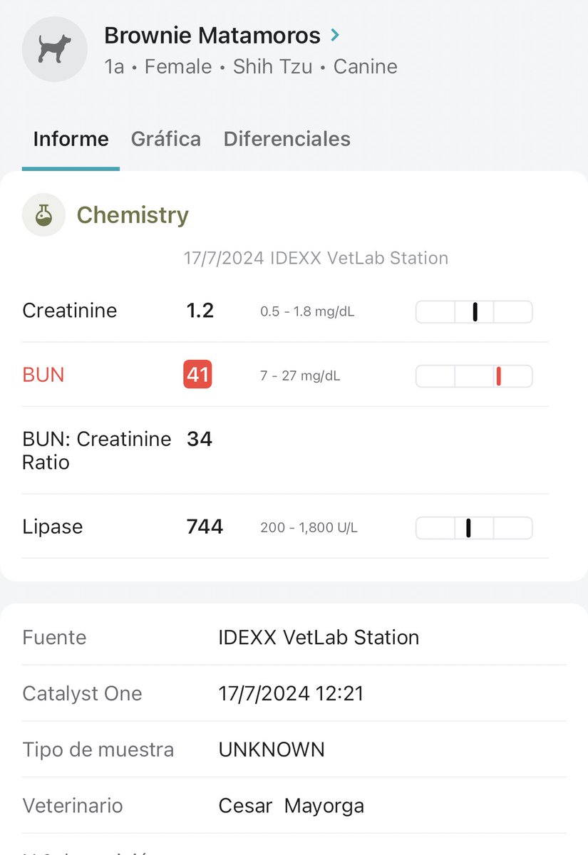 DrCesarMayorga's tweet photo. Brownie ate 250 mg/kg of Ibuprofen and presented too late for extracorporeal blood purification. Conservative management and monitoring showed improvement of azotemia but Urinary NGAL increasing in a 48 hours period. Interesting Test!!! #nefrovetcolombia https://t.co/rA1lmMWWLi
