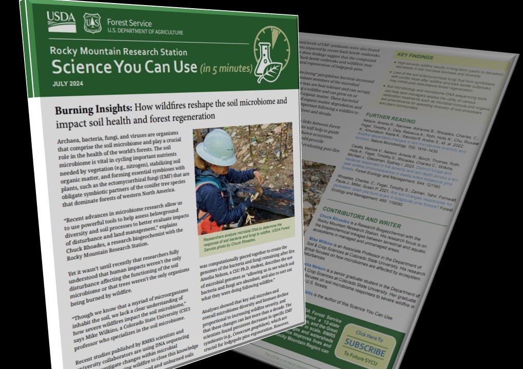 usfs_rmrs's tweet photo. Humans are not alone in disturbing the soil microbiome, and trees are far from the only organisms being burned by wildfire. Our latest #ScienceYouCanUse explores how wildfires impact soil health and forest regeneration. Read or listen to it here:
https://t.co/gLzaiNthtR https://t.co/POPDbrjOrV