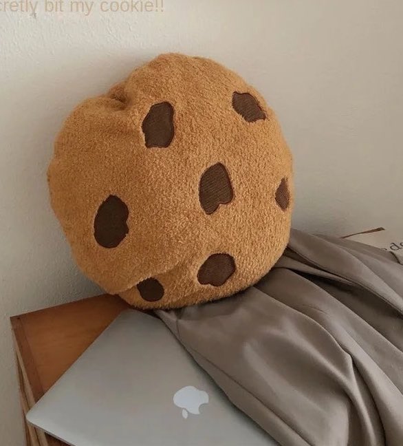 300moods's tweet photo. Cookie pillow 🍪 https://t.co/N818dWFPD1