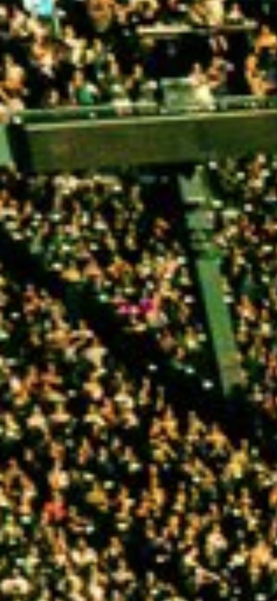 sweetnsated's tweet photo. @NoahKahan pls tell me u could see our silly pink hats https://t.co/GTuFwsExX1