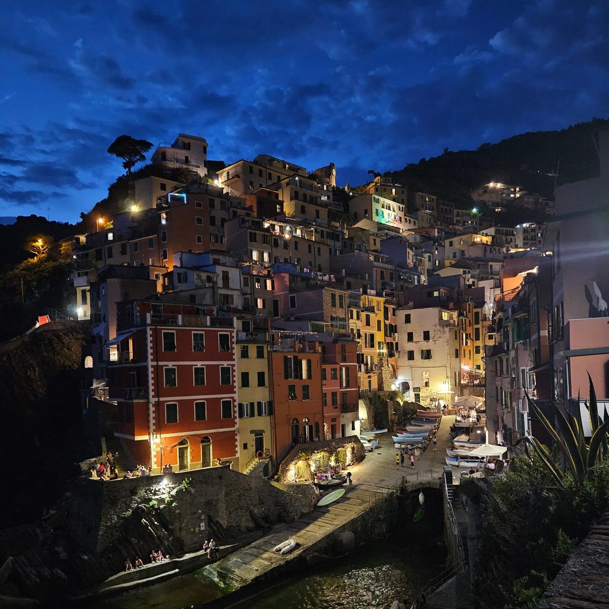 Dom Burch ⤴️ tweet media