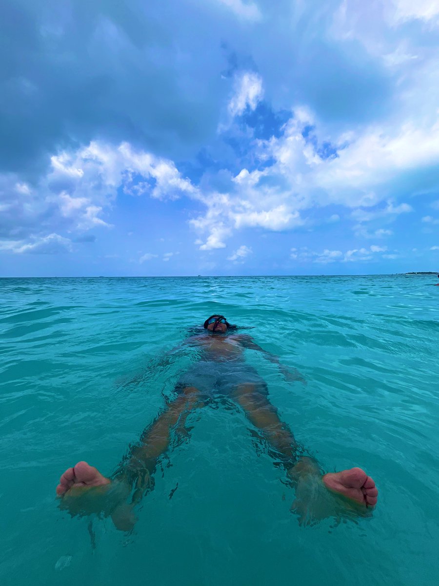 TaeveonLane's tweet photo. Water clear but we not at the pool🪼 https://t.co/Q7IoVNae2M