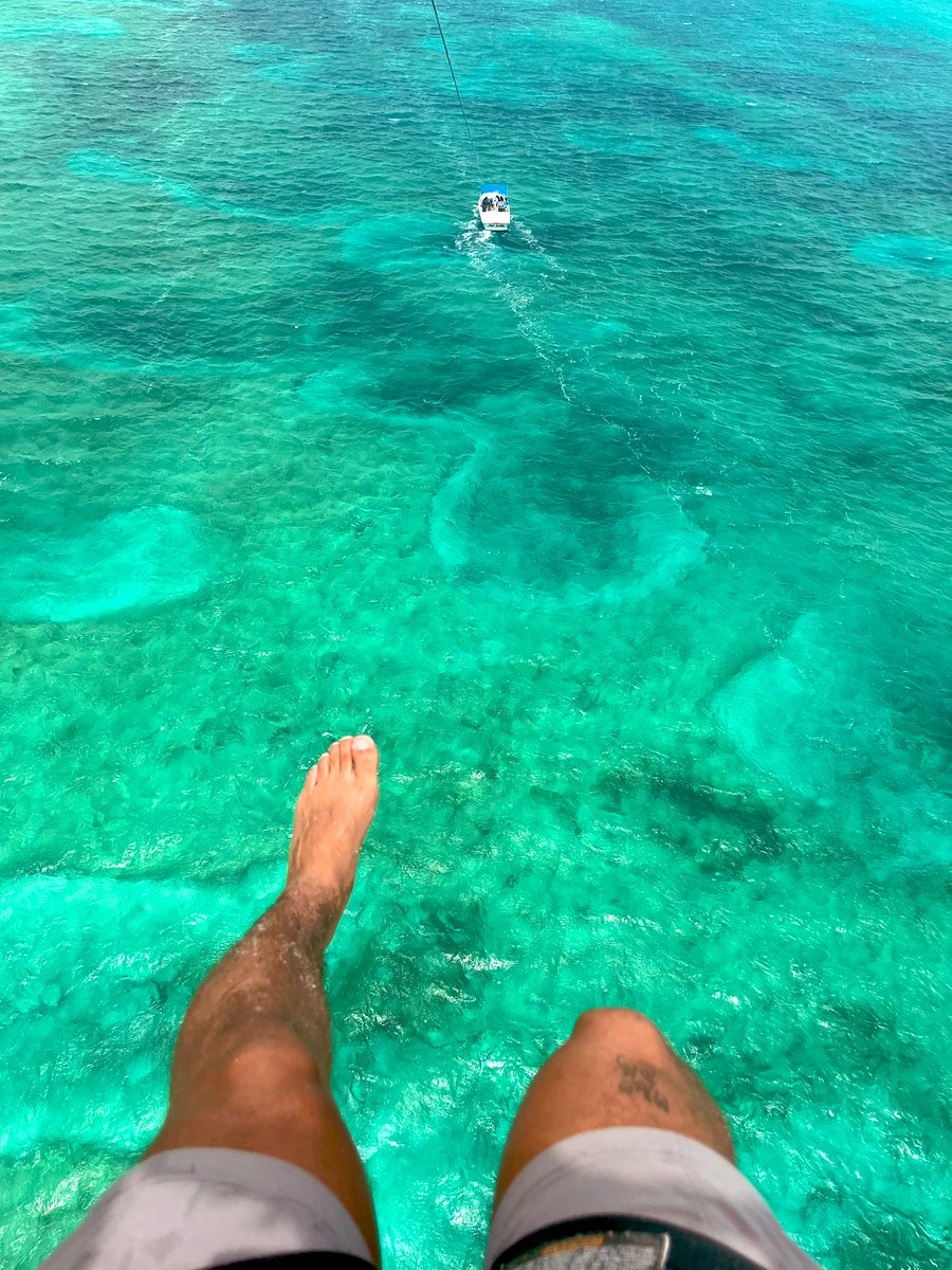 TaeveonLane's tweet photo. Water clear but we not at the pool🪼 https://t.co/Q7IoVNae2M