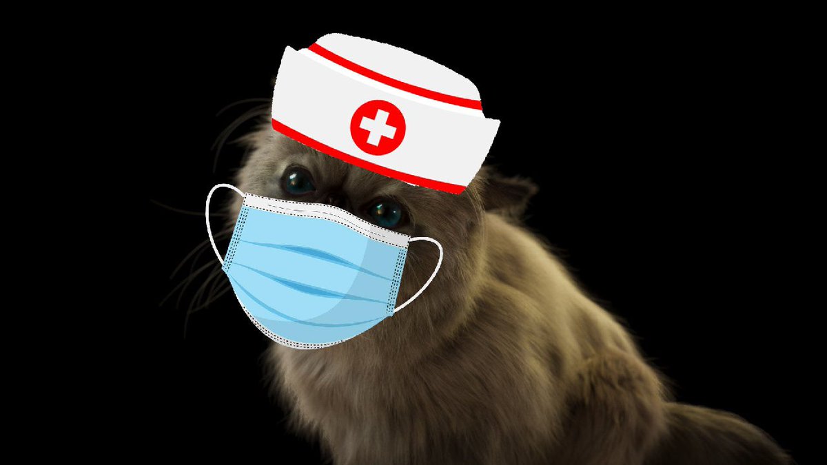 doctordiggles's tweet photo. @jessepollak @base Doctor Diggles calling you for your checkup https://t.co/6hRpTx3And