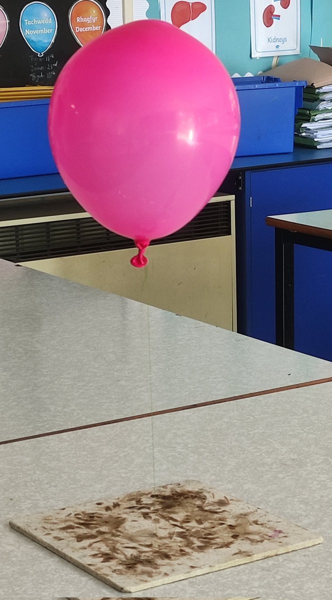 bedwashighsci's tweet photo. Brilliant last week of school doing some fun experiments, thanks to Mrs. Darby https://t.co/DWdeXHsfyr