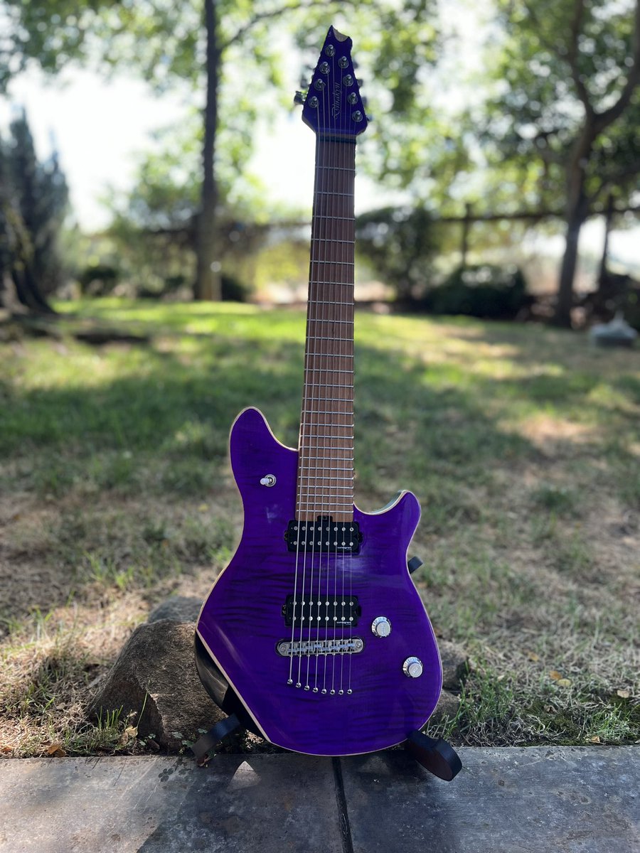 My new 8 string custom Dhrakyn  #Wolfgang is complete! Plays and sounds amazing! #evh #vanhalen#8string #guitar #LoNero #guitarcore #guitarplayer #guitarist