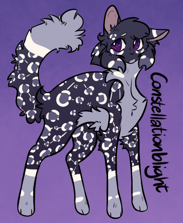 kokrarus's tweet photo. A request!! They gave me a name, Constellationblight, and I drew this cat based on it! https://t.co/P0LfP1crsV