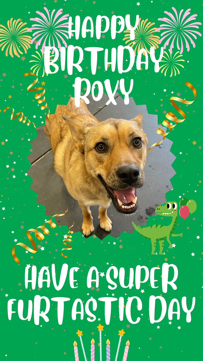 DogsTailinc's tweet photo. Happy Birthday ROXY!! 

Have the best day ever! 

#doggydaycare #yycdogs #calgarydogs #dogs #puppies #birthday #happybirthday #dogbirthday #woof #daycare #yyc #cute #awe #Roxy #DogsTail https://t.co/LEsF3OidKd