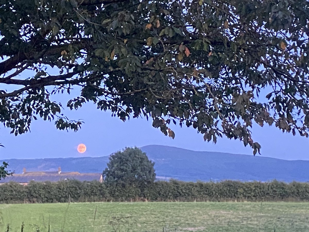 discourteous04's tweet photo. Moonrise tonight - absolutely beautiful https://t.co/OPsh7aYRei