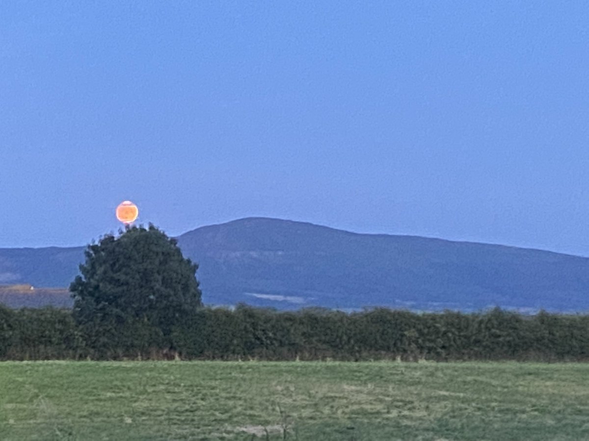 discourteous04's tweet photo. Moonrise tonight - absolutely beautiful https://t.co/OPsh7aYRei