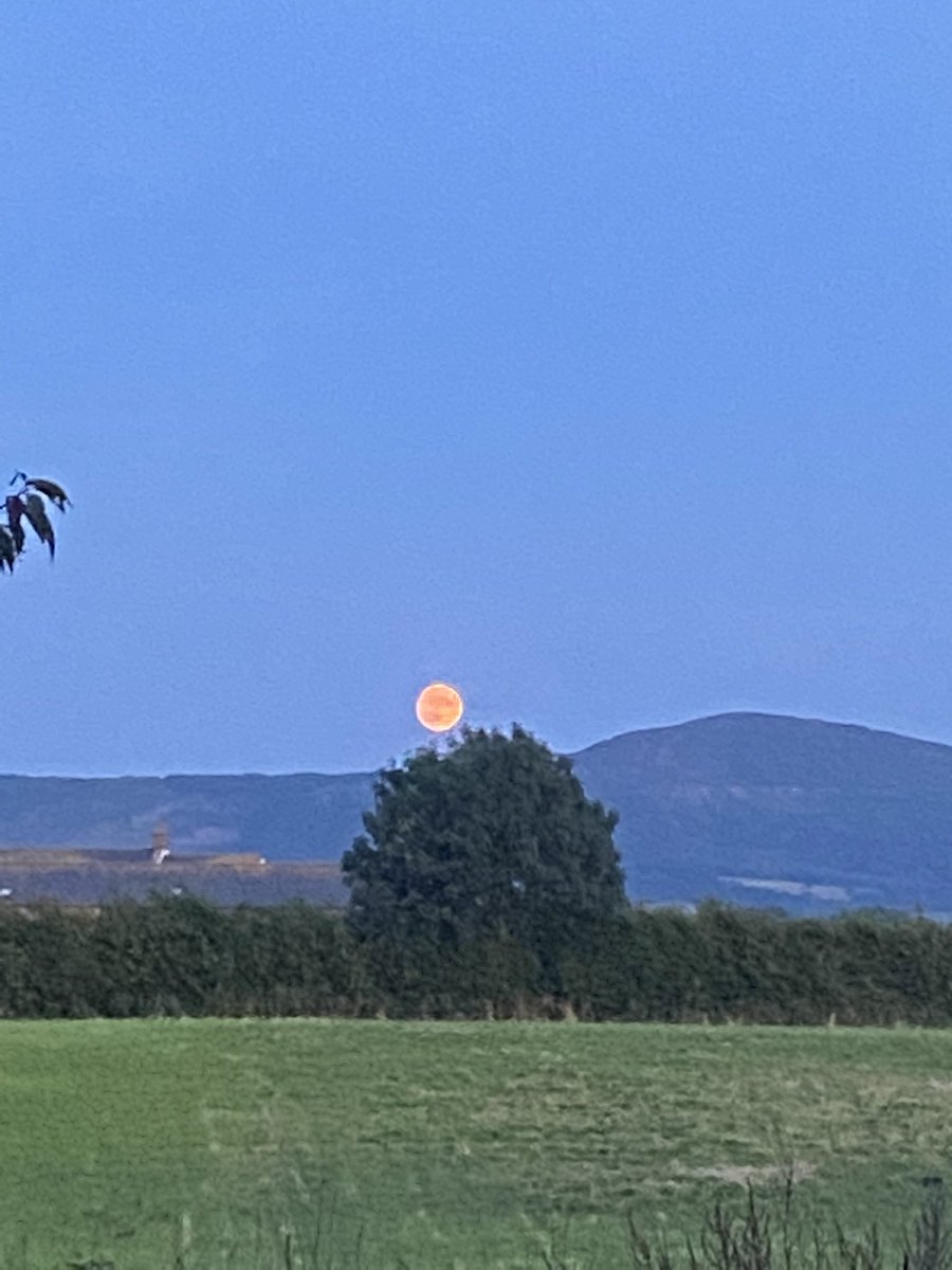 discourteous04's tweet photo. Moonrise tonight - absolutely beautiful https://t.co/OPsh7aYRei