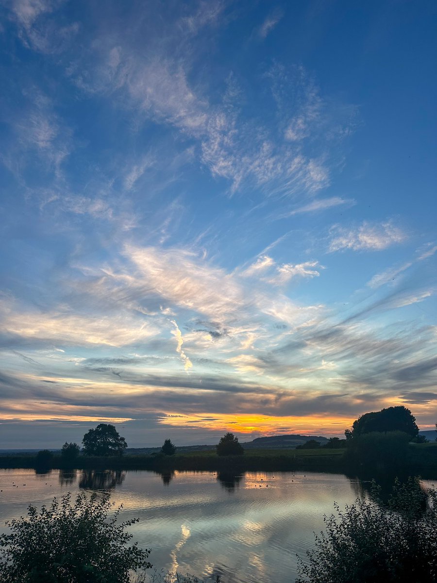 Evening walks ❤️