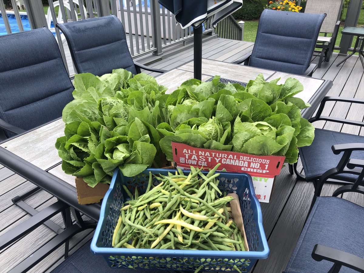 We are fortunate that we can grow so much produce.  Heading to the food bank in Carleton Place😊