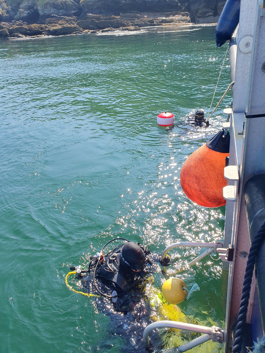 Cat Wilding tweet media