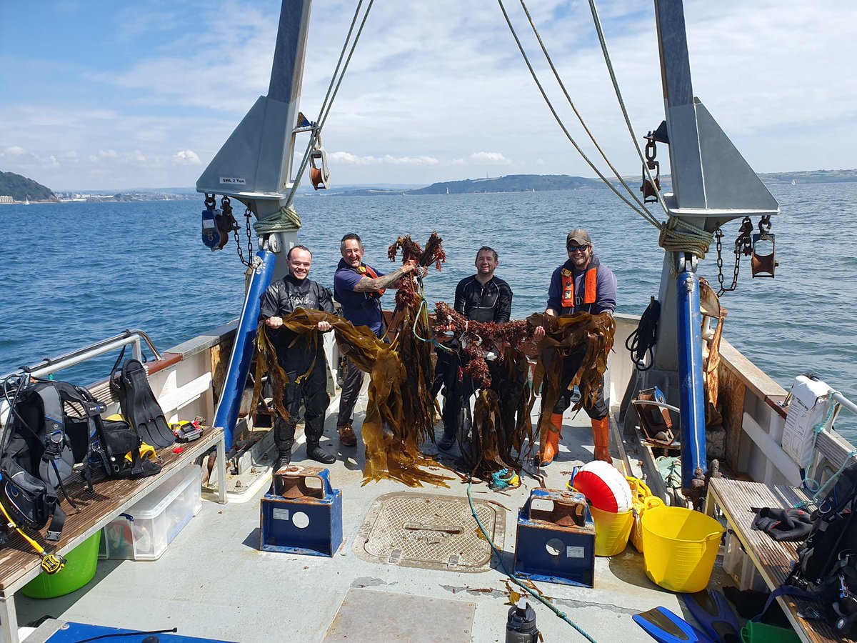 Cat Wilding tweet media