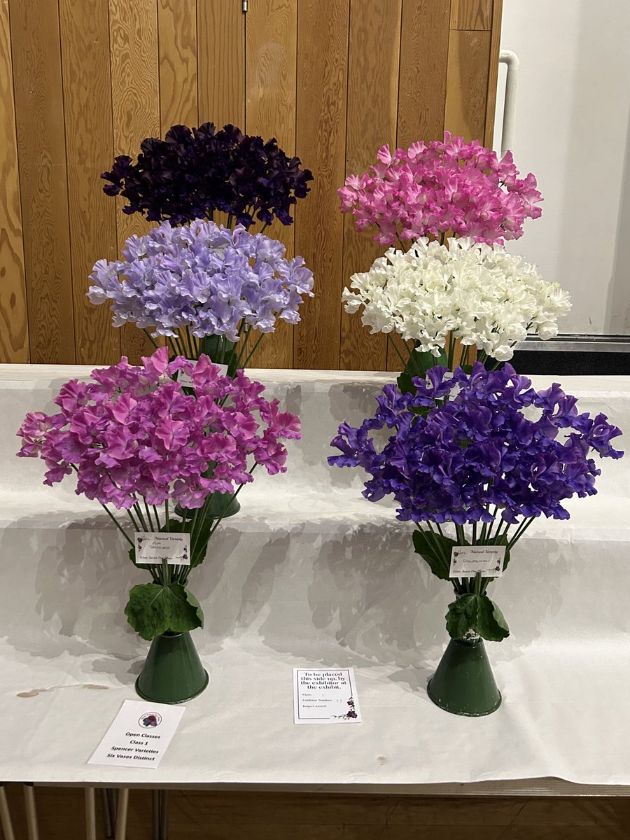 Darren Myers tweet media