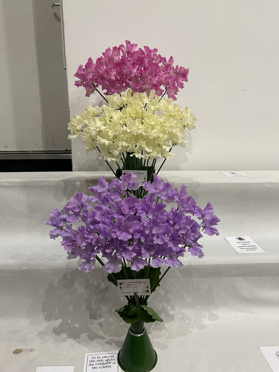 Darren Myers tweet media