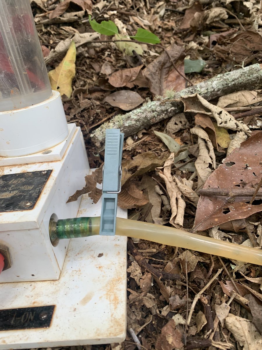pediplano's tweet photo. trabalho de campo cheio de gambiarras 🇧🇷 com o “amôzinho”*

*nome carinhoso para amoozemeter: equipamento que mede a condutividade hidráulica saturada do solo https://t.co/xl8nlMsyJw