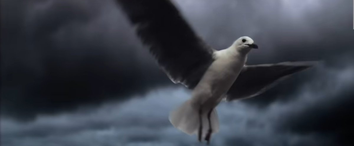 freezingbeaches's tweet photo. the fact that this is a still from the wildest dreams music video https://t.co/LyKsXtYpkk