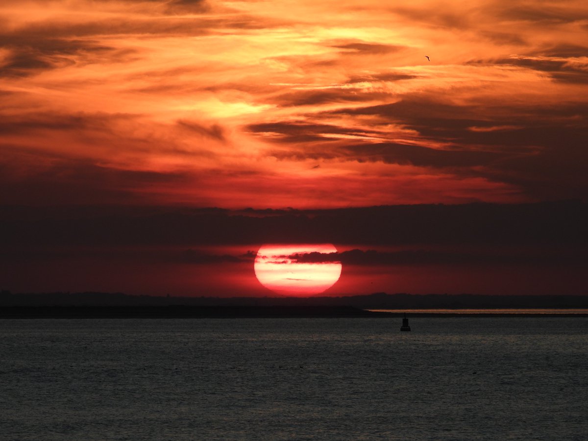 LifeOnSheppey tweet media