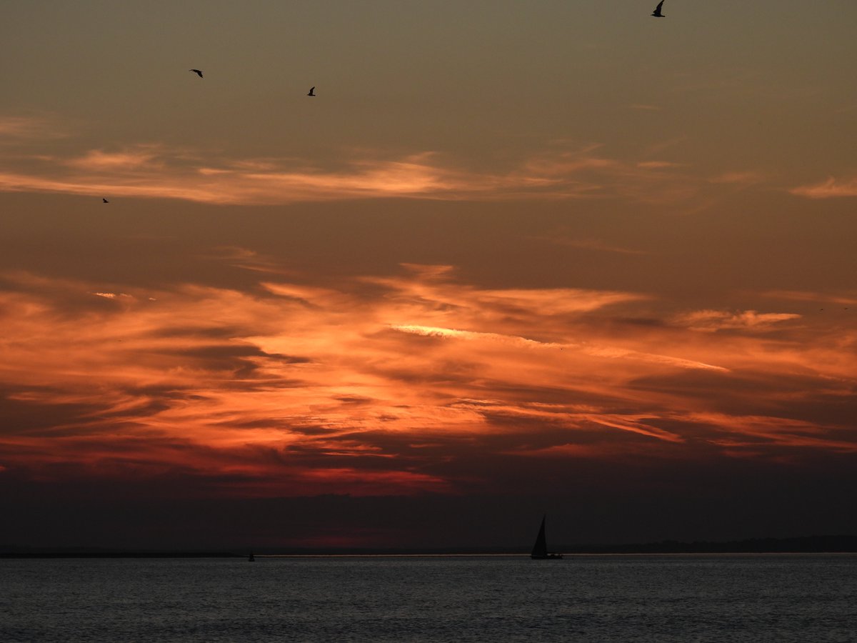 LifeOnSheppey tweet media